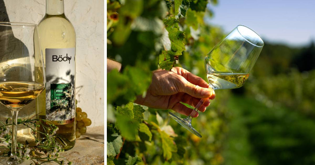 Irsai Olivér a Bődy borászatnál
